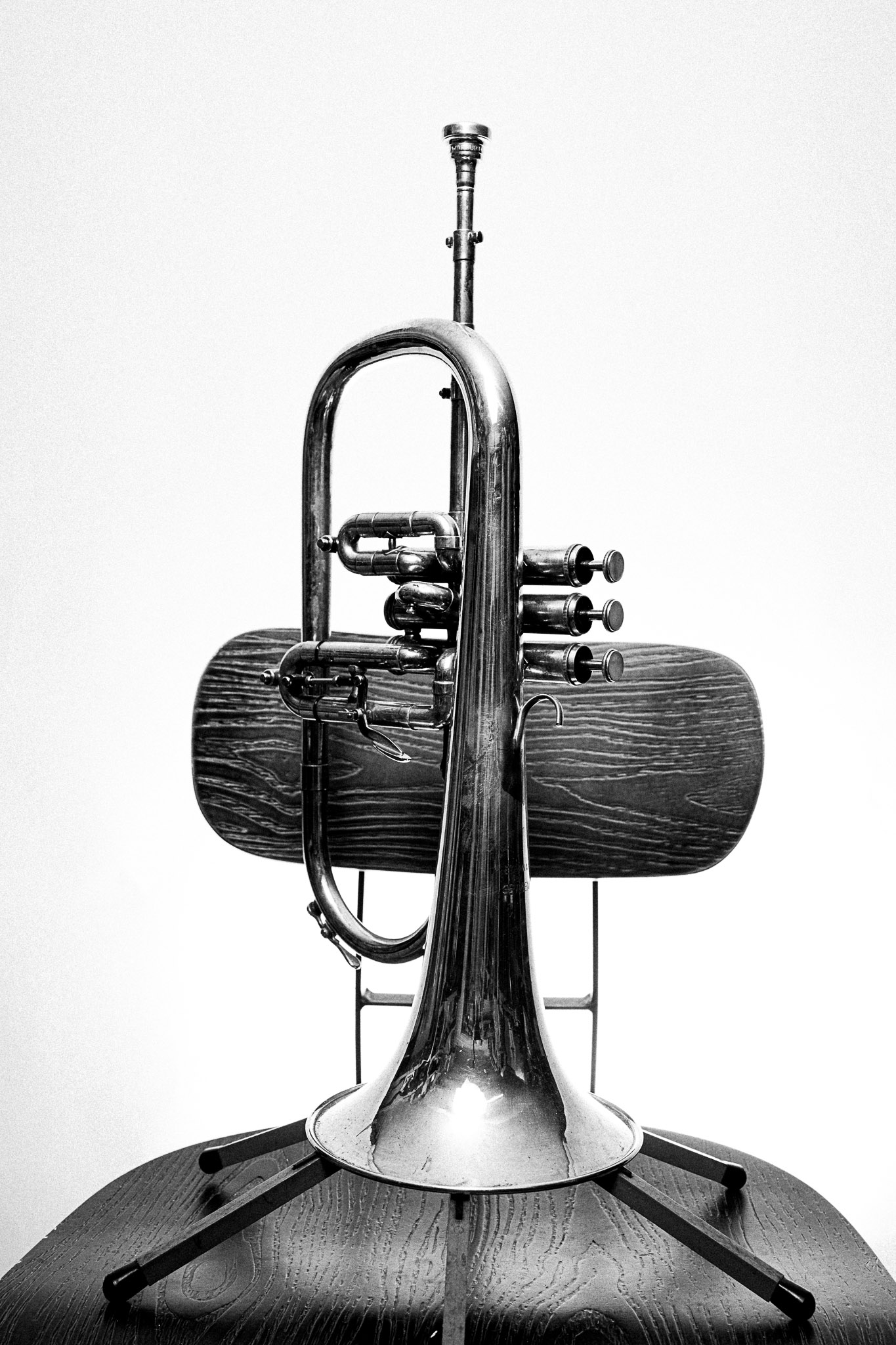 Black and white portrait of a flugelhorn by Richard Mayle.